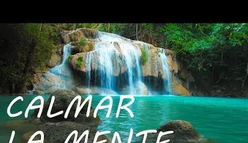  Música para relajarse y calmar la mente 