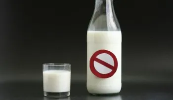 Mitos y verdades sobre los lácteos: Por qué la leche puede perjudicar tu salud