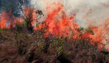 Policía reporta tres incendios en diferentes puntos del país; uno lo provocó niño de 12 años