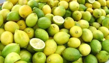El limón ayuda a combatir más de 200 enfermedades