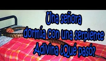 Esta mujer dormía con su serpiente y adivina lo que pasó........ (VIDEO)