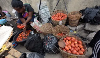 La crisis del tomate expande el pánico en Nigeria