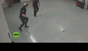 Una ardilla "toma por asalto" una comisaria y policías la enfrentan 