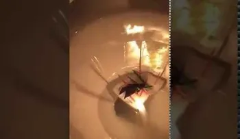 "Descansa en paz Enrique": Polémico funeral de una mascota "incendia" la Red