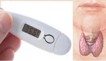 Como ver el buen funcionamiento de tu tiroides con un termómetro 