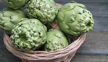 La alcachofa es el mejor remedio natural; conoce sus poderosos beneficios que son increíbles