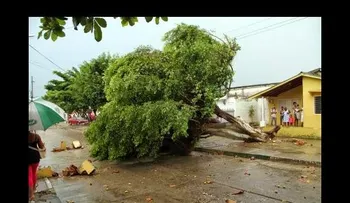 Ventarrón y lluvias afectan varias viviendas en Loma de Cabrera