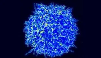 La inmunoterapia T CAR es MUY eficaz en el tumor cerebral más común y letal