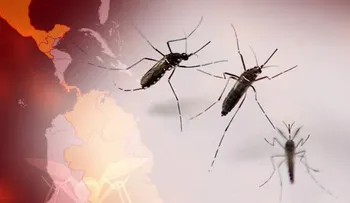 Gran mayoría de los casos de Zika detectados en New York viajaron desde RD