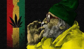 Marihuana comestible menos potente