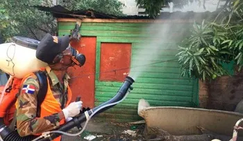 Harán jornada contra criaderos mosquitos 