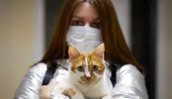 Los gatos también pueden contagiar el COVID-19 a los seres humanos