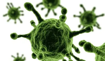 Al menos 320.000 virus desconocidos amenazan a la humanidad, establecieron los científicos