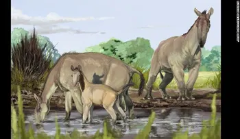 Así resolvieron un antiguo misterio animal que ni Darwin pudo descifrar