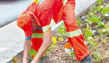 El ADN sembró este año 25,000 plantas