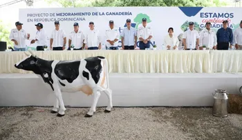 Gobierno inicia Proyecto de Mejoramiento de la Ganadería con una inversión que supera los RD 700 millones