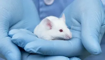  Hallan pieza clave para tratar el cáncer de páncreas en ratones 