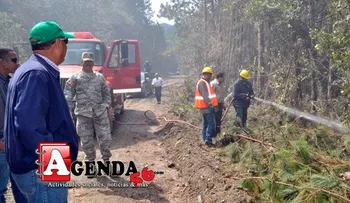 Fuego en Constanza baja en intensidad, según Medio Ambiente