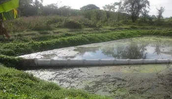 Periodista denuncia colapsa sistema sanitario de Hato Mayor