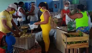 Acopio y el hambre en Cuba; pagan una miseria a los campesinos y se pudren miles de toneladas de alimentos