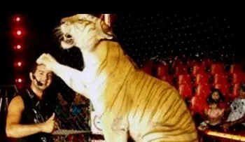 Tigre ataca a una mujer en la India (Video:Tigre mata a su domador)