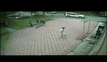 Era una pelea común y corriente, hasta que esto sucedió...