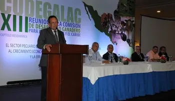 Ministro de Agricultura anuncia RD se encamina al desarrollo ganadero