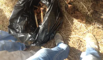 Hallan osamenta humana sin el cráneo en Cabrera