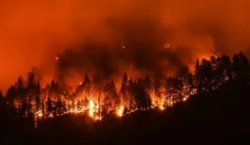 Un incendio forestal en Florida obliga a evacuar más de mil vivienda