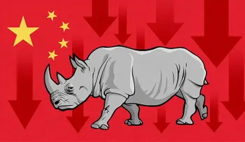 ¿Por qué un rinoceronte gris causó la caída de las acciones en China?