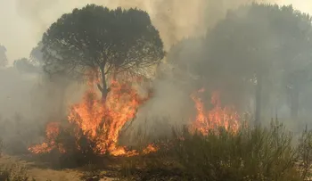 Al menos 2.000 evacuados por un fuerte incendio en un parque al sur de España