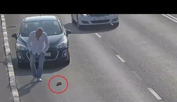 "1000 carros y 7 vidas": Rescatan gato de una concurrida avenida rusa