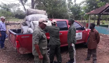 Incautan miles de sacos de carbón, que serían llevado a Haití