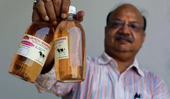 Orina de vaca: el nuevo â??oroâ? medicinal de la India