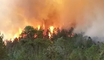 Fuegos forestales se extienden; hospitalizan a niños y ancianos por humareda
