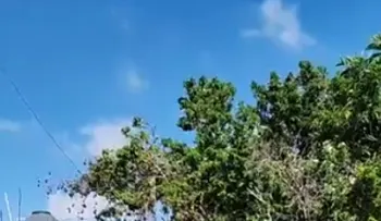 Dicrim allana vivienda del presunto agresor de menor desaparecida en el río Yaque del Norte