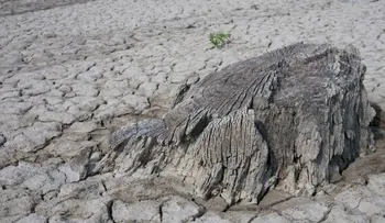 El mundo se sofoca: temperaturas récord podrían llegar a España y Portugal en medio de la ola de calor 