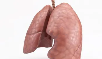 Un equipo de científicos de EE.UU. desarrolla pequeños pulmones en probetas