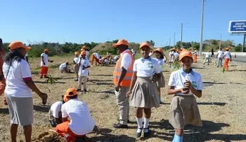 Obras Públicas y Medio Ambiente realizan reforestación en la provincia Santo Domingo