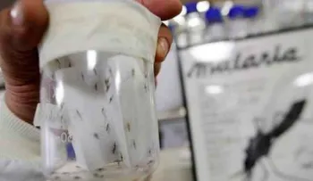 Detectan malaria en tres municipios de Nueva Esparta