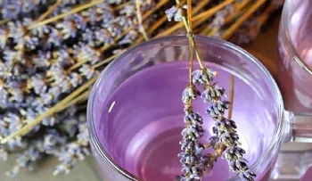 Cómo usar aceite de lavanda para bajar la ansiedad