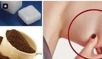 Temas de salud imperdibles: ¡Descúbrelos aquí