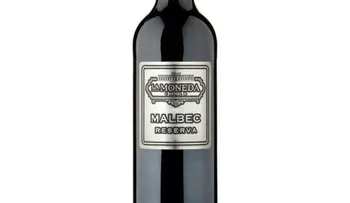 Un vino chileno, elegido el mejor cabernet sauvignon