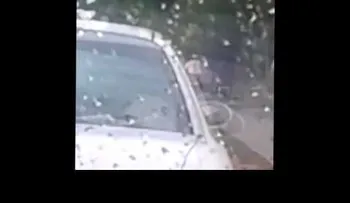 Caminantes en acera del Botánico en riesgo de ser atropellados por motoristas (VIDEO)