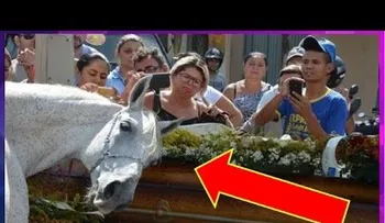 El caballo que sacó lágrimas en el funeral de su jinete