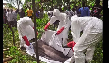 Expertos critican a la OMS por lenta respuesta contra el ébola en África Occidental