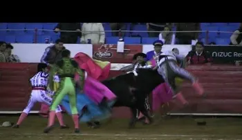 Brutal cornada en una corrida de toros en México (VIDEO)