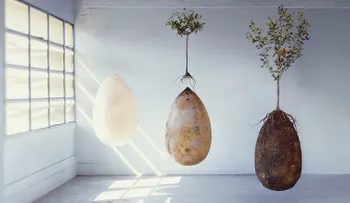 La urna funeraria biodegradable que convierte tu cuerpo en árbol
