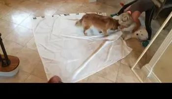 ¡Buenisimo: Ella tiró la cortina del baño en el piso; observa cómo la transformó en ESTO... (VIDEO)  !