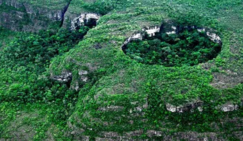 El mayor parque natural de Colombia está libre de cultivos ilícitos